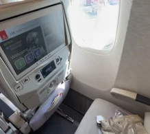 Emirates Boeing 777-300ER V.1 photo