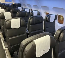 British Airways Airbus A319-100 V.2 photo