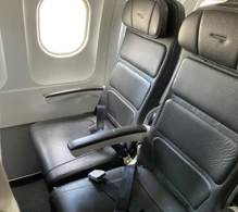 British Airways Airbus A319-100 V.2 photo