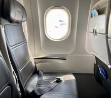 British Airways Airbus A319-100 V.2 photo
