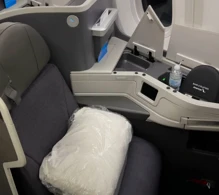 American Airlines Boeing 787-9 V.1 photo