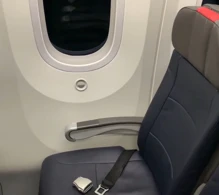 American Airlines Boeing 787-9 V.1 photo