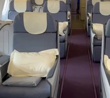 China Southern Airbus A330-300 V.1 photo