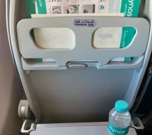 Flynas Airbus A320neo photo