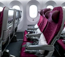 Qatar Airways Boeing 787-8 V.1 photo