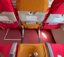 Air India Airbus A320-200 photo