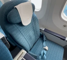 Vietnam Airlines Boeing 787-9 V.1 photo