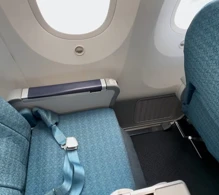 Vietnam Airlines Boeing 787-9 V.1 photo