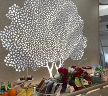 Emirates Airbus A350-900 V.2 photo