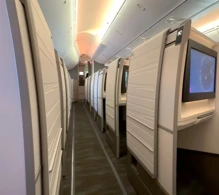 Hawaiian Airlines Boeing 787-9 photo