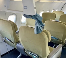 Vietnam Airlines Airbus A321-200 V.1 photo