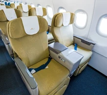 Vietnam Airlines Airbus A321-200 V.1 photo