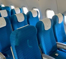 Vietnam Airlines Airbus A321-200 V.1 photo