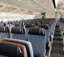 American Airlines Boeing 787-9 V.2 photo