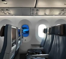American Airlines Boeing 787-9 V.2 photo