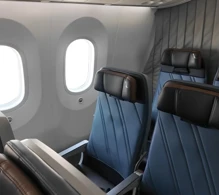 American Airlines Boeing 787-9 V.2 photo