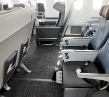 American Airlines Boeing 787-9 V.2 photo