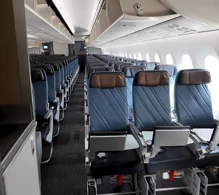 American Airlines Boeing 787-9 V.2 photo