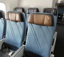 American Airlines Boeing 787-9 V.2 photo