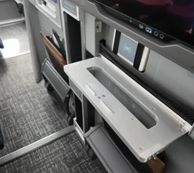 American Airlines Boeing 787-9 V.2 photo