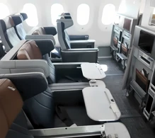 American Airlines Boeing 787-9 V.2 photo