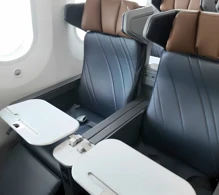 American Airlines Boeing 787-9 V.2 photo