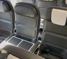 British Airways Airbus A320-200 V.1 photo