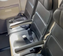 British Airways Airbus A320-200 V.1 photo