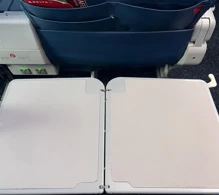 Delta Airbus A319-100 photo