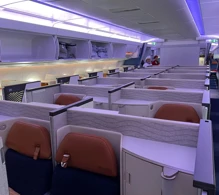 Turkish Airlines Airbus A350-900 V.3 photo