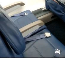 Endeavor Air Bombardier CRJ900 V.2 photo