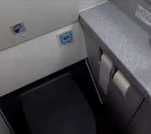 British Airways Airbus A320-200 V.2 photo