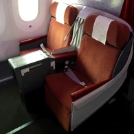 LATAM Airlines Boeing 787-8 photo