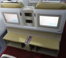 Air India Boeing 787-8 V.2 photo