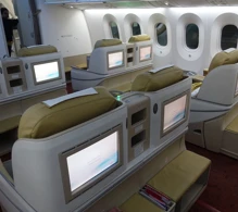 Air India Boeing 787-8 V.2 photo