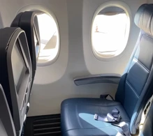 Delta Boeing 737-800 photo