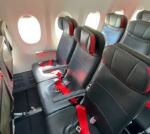 Turkish Airlines Boeing 737 MAX 9 photo