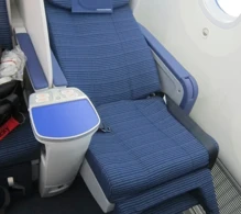 ANA - All Nippon Airways Boeing 787-8 V.1 photo