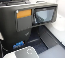 SAS Airbus A330-300 V.1 photo