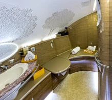 Emirates Airbus A380-800 V.1 photo