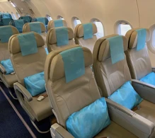 Philippine Airlines - PAL Airbus A321-200 V.1 photo
