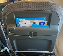 SAS Airbus A320neo photo