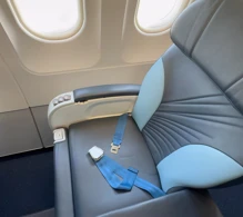 AZAL Azerbaijan Airlines Airbus A320-200 V.3 photo