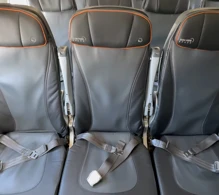 JetBlue Airways Airbus A321-200 V.2 photo