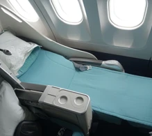 Korean Air Airbus A330-300 V.3 photo