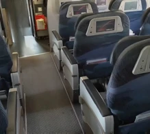 Air Canada Airbus A319-100 V.1 photo