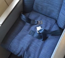 Air Canada Airbus A319-100 V.1 photo