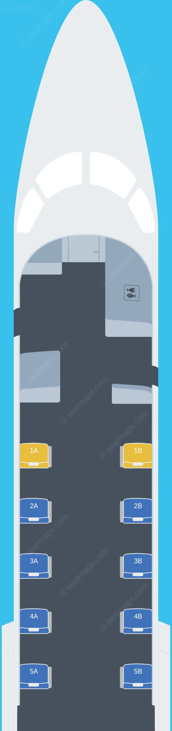 Travelcoup Embraer ERJ 135 seatmap preview